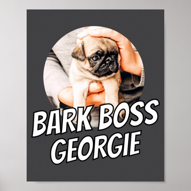 Bark Boss Husdjur Hund Foto Modern Enkel Cool  Poster (Framsidan)