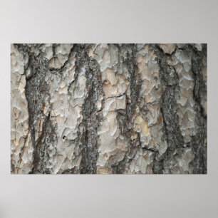 Bark Gräs Wood Poster