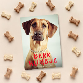 Bark Humbug Cute Funny Pet Hund Photo Julkort