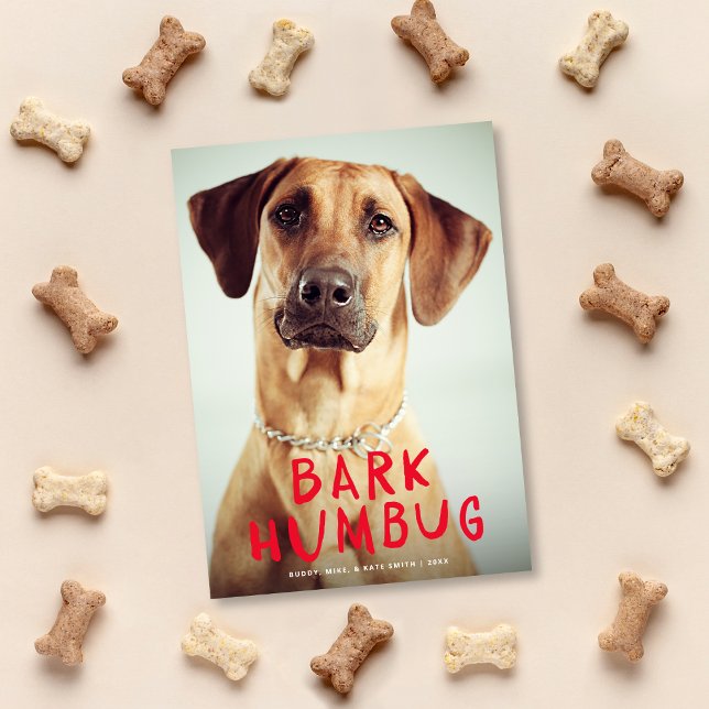 Bark Humbug Cute Funny Pet Hund Photo Julkort (Skapare uppladdad)