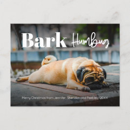 Bark Humbug Cute Modern Anpassningsbar Photo Helgd Helg Vykort