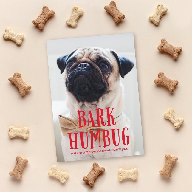 Bark Humbug Cute Puppy Hund | Helgdag Photo Julkort (Skapare uppladdad)