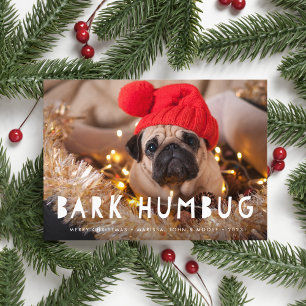Bark Humbug Pet Photo Helgdag Card Julkort