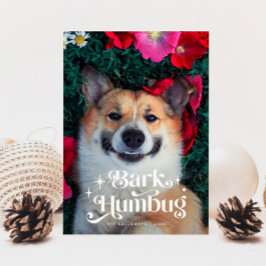 BARK HUMBUG Rolig hund jul Julkort