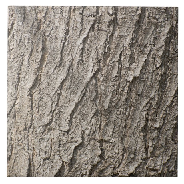Bark mönster kakelplatta (Framsidan)