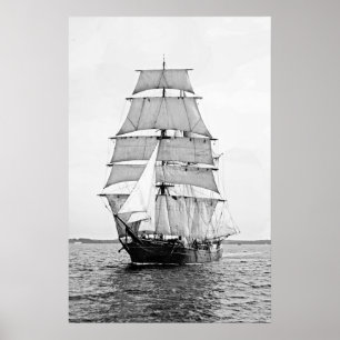 Bark Robert Ewing Poster