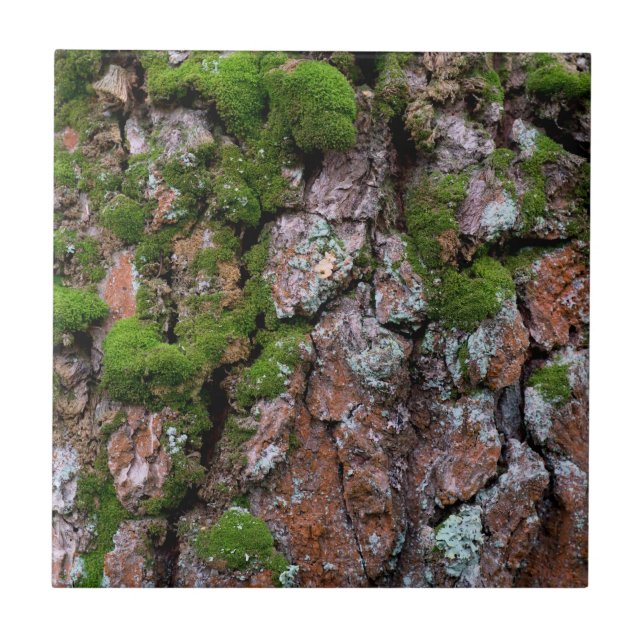 Bark träd kakelplatta (Framsidan)