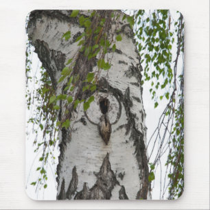 BARK TRÄD MUSMATTA