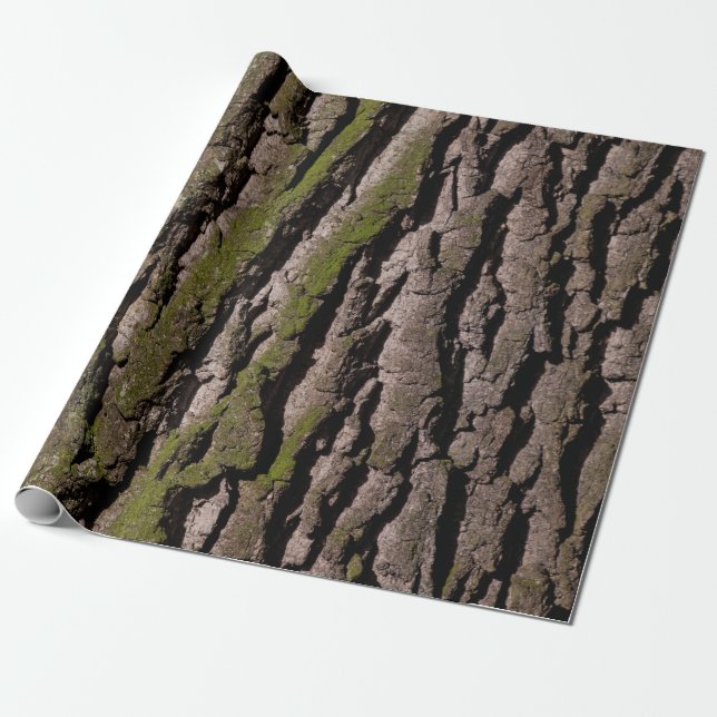 Bark träd oak moss presentpapper (Utrullad)