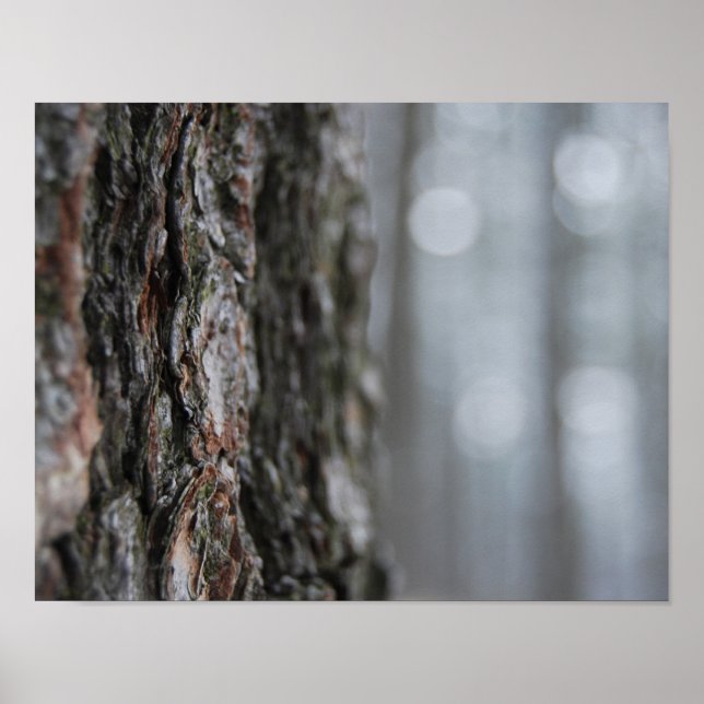 Bark vid Träd Poster (Framsidan)