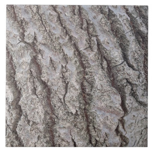 Bark wooden mönster kakelplatta
