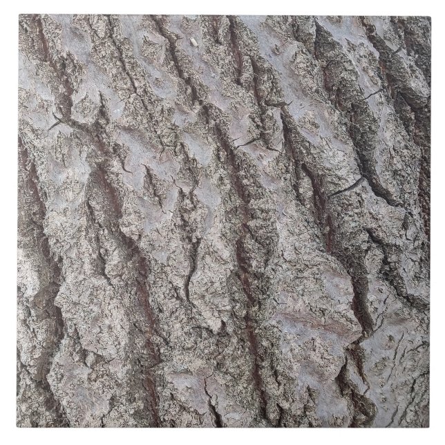 Bark wooden mönster kakelplatta (Framsidan)