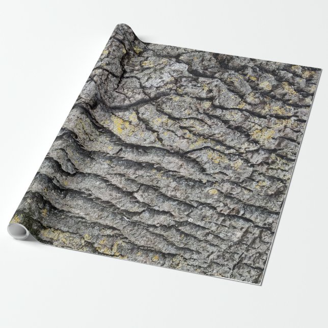 Bark wooden mönster presentpapper (Utrullad)