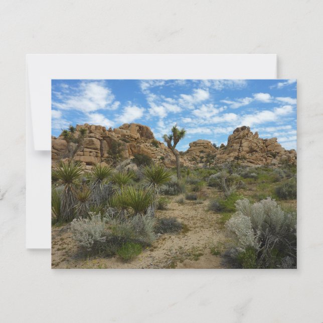 Barker Dam Loop Trail vid Joshua Tree National Par (Framsida)