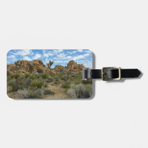 Barker Dam Loop Trail vid Joshua Tree National Par Bagagebricka