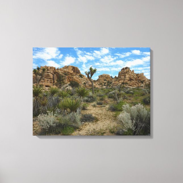 Barker Dam Loop Trail vid Joshua Tree National Par Canvastryck (Framsida)
