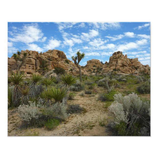 Barker Dam Loop Trail vid Joshua Tree National Par Fototryck (Framsidan)