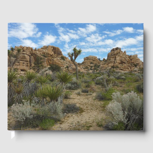 Barker Dam Loop Trail vid Joshua Tree National Par Gästböcker (Framsida)