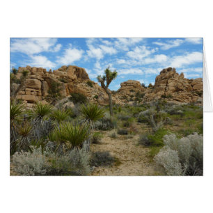 Barker Dam Loop Trail vid Joshua Tree National Par Hälsningskort