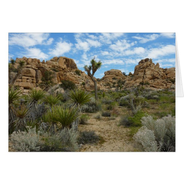 Barker Dam Loop Trail vid Joshua Tree National Par Hälsningskort (Framsidan Horizontal)