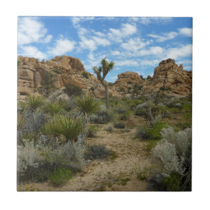 Barker Dam Loop Trail vid Joshua Tree National Par Kakelplatta