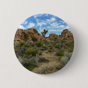Barker Dam Loop Trail vid Joshua Tree National Par Knapp