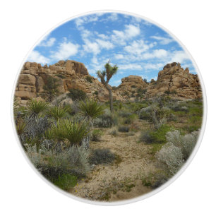 Barker Dam Loop Trail vid Joshua Tree National Par Knopp