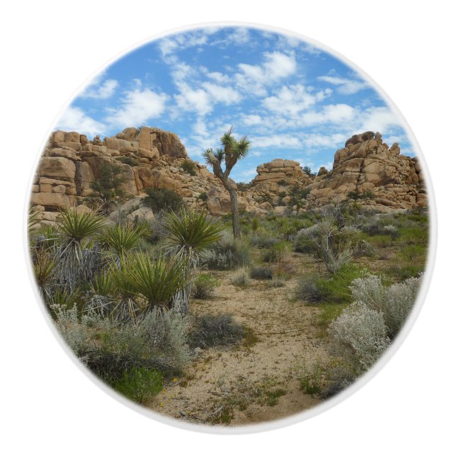 Barker Dam Loop Trail vid Joshua Tree National Par Knopp (Framsidan)