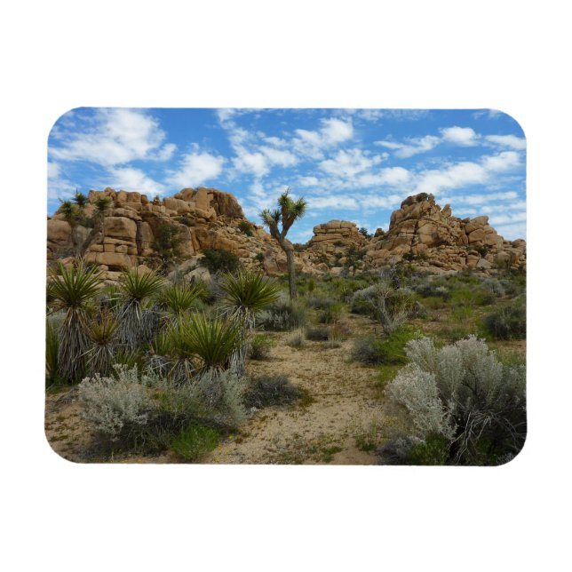 Barker Dam Loop Trail vid Joshua Tree National Par Magnet (Horisontell)