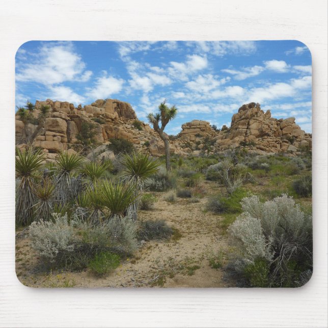 Barker Dam Loop Trail vid Joshua Tree National Par Musmatta (Framsidan)