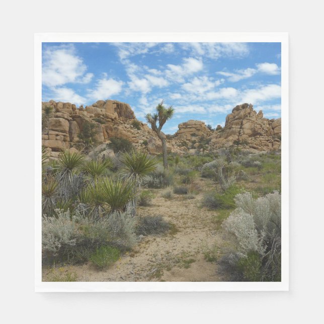 Barker Dam Loop Trail vid Joshua Tree National Par Pappersservett (Framsidan)