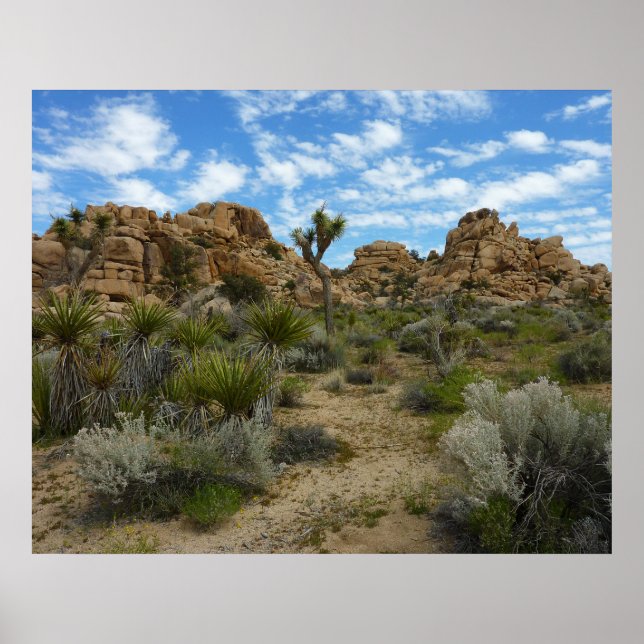 Barker Dam Loop Trail vid Joshua Tree National Par Poster (Framsidan)