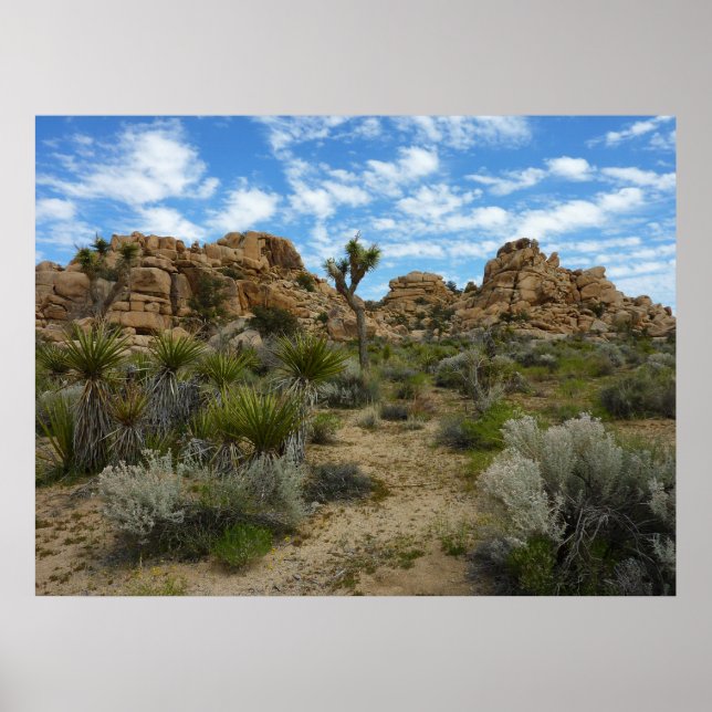 Barker Dam Loop Trail vid Joshua Tree National Par Poster (Framsidan)