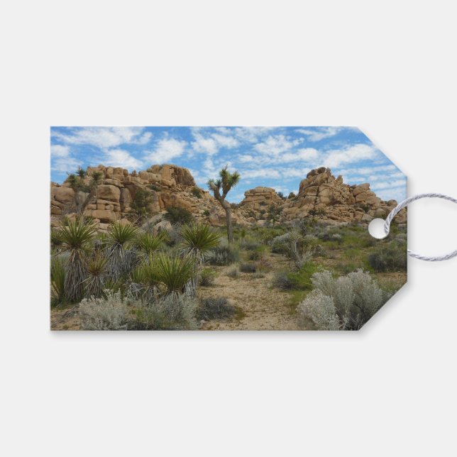 Barker Dam Loop Trail vid Joshua Tree National Par Presentetikett (Framsidan (Horisontell))
