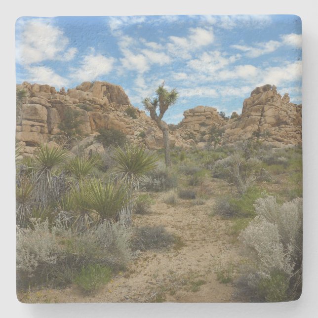 Barker Dam Loop Trail vid Joshua Tree National Par Stenunderlägg (Framsidan)