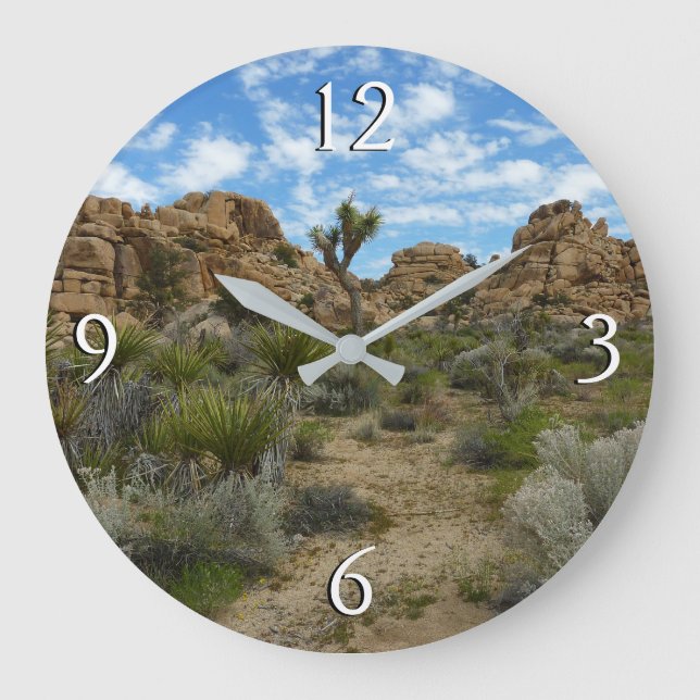 Barker Dam Loop Trail vid Joshua Tree National Par Stor Klocka (Framsida)