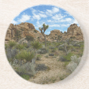 Barker Dam Loop Trail vid Joshua Tree National Par Underlägg
