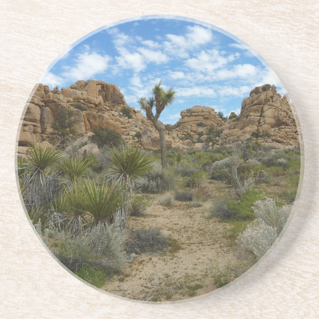 Barker Dam Loop Trail vid Joshua Tree National Par Underlägg (Framsidan)