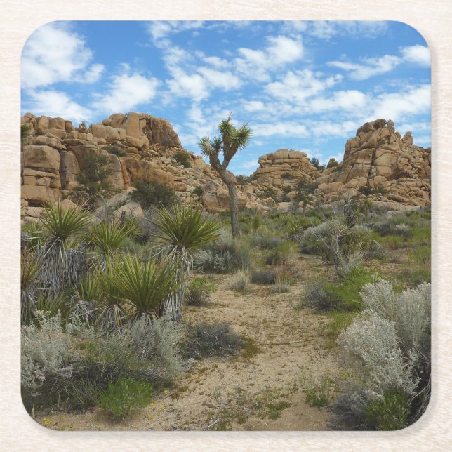 Barker Dam Loop Trail vid Joshua Tree National Par Underlägg Papper Kvadrat (Framsidan)