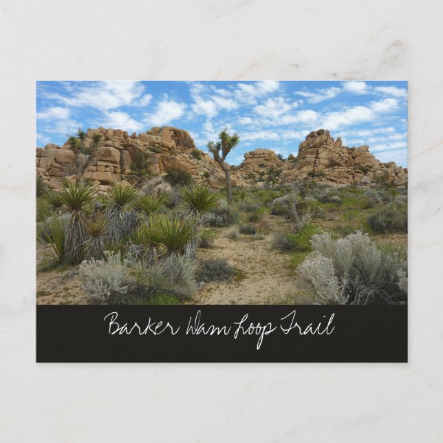 Barker Dam Loop Trail vid Joshua Tree National Par Vykort (Framsida)
