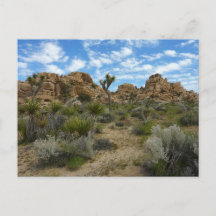 Barker Dam Loop Trail vid Joshua Tree National Par