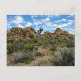 Barker Dam Loop Trail vid Joshua Tree National Par Vykort