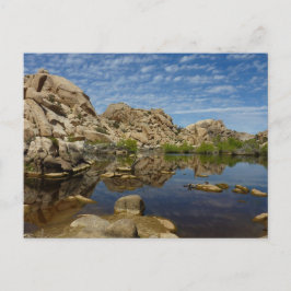 Barker Dam Reflection vid Joshua Tree I Vykort