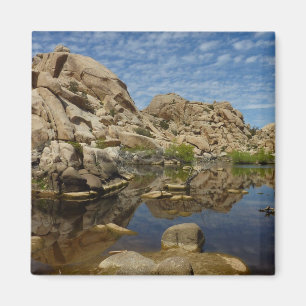 Barker Dam-reflektion vid Joshua Tree I Magnet