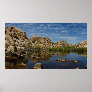 Barker Dam-reflektion vid Joshua Tree I Poster