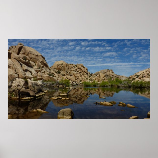 Barker Dam-reflektion vid Joshua Tree I Poster (Framsidan)
