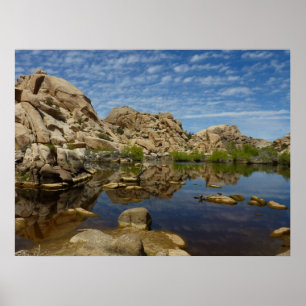 Barker Dam-reflektion vid Joshua Tree I Poster