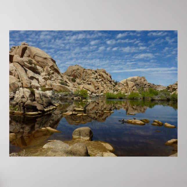 Barker Dam-reflektion vid Joshua Tree I Poster (Framsidan)