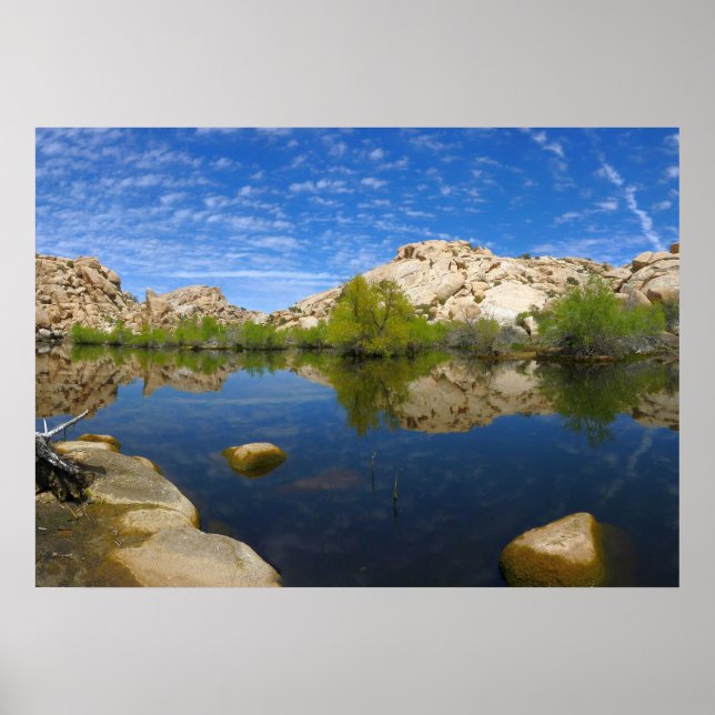 Barker Dam-reflektion vid Joshua Tree II Poster (Framsidan)
