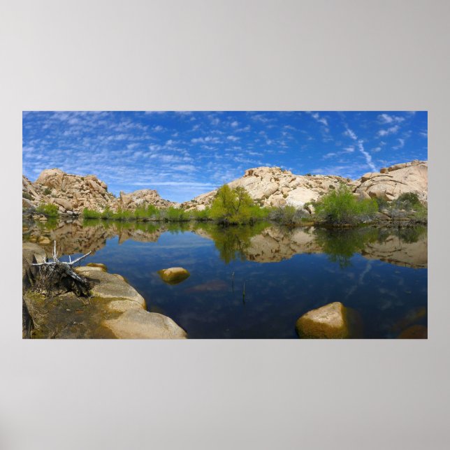 Barker Dam-reflektion vid Joshua Tree II Poster (Framsidan)